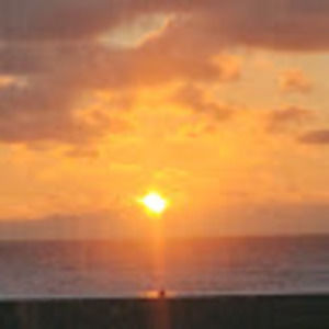 Meet your Posher, Laci